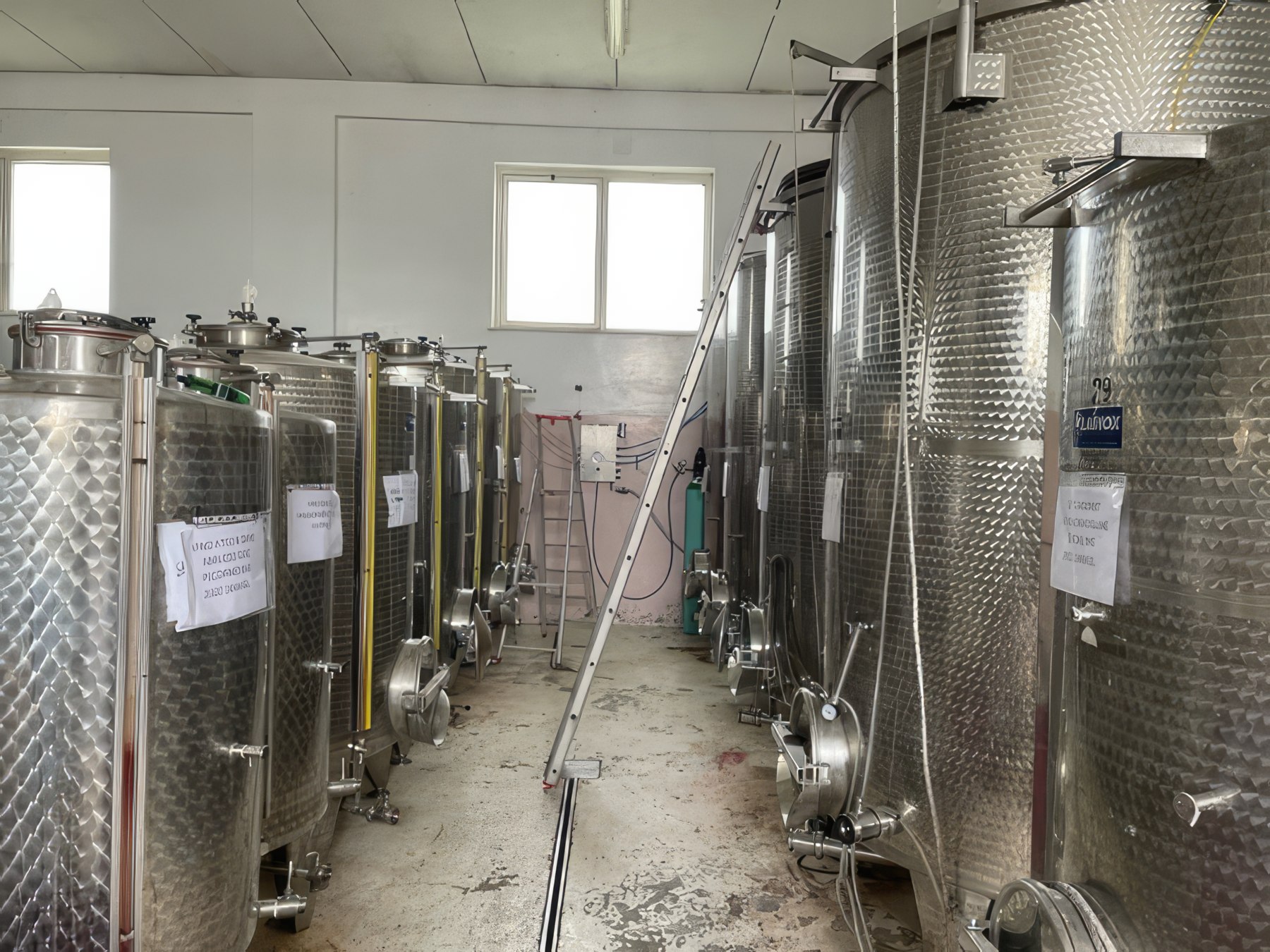 azienda_fattoria teatina_06-th
