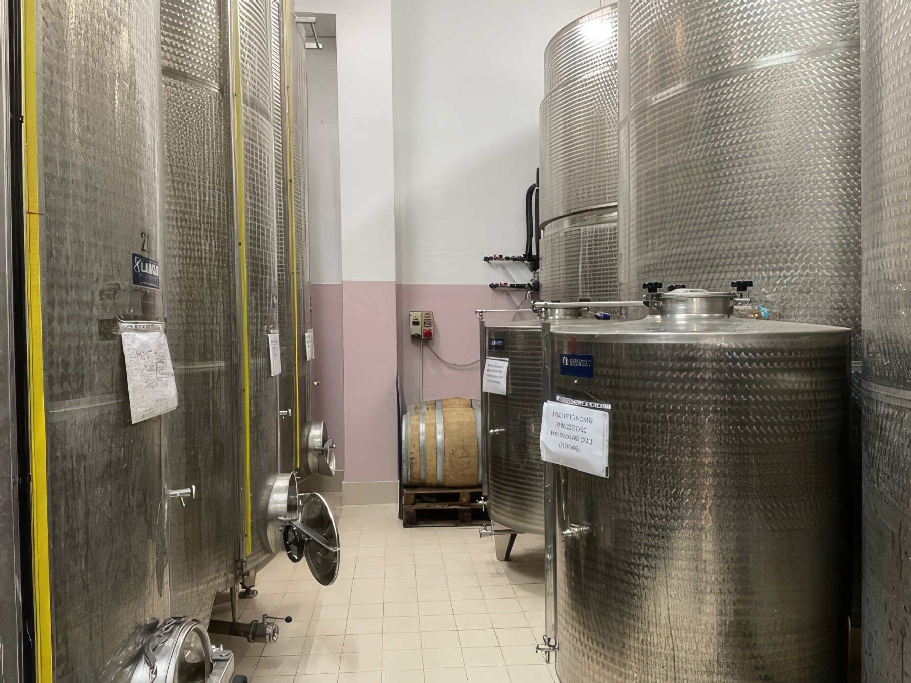 azienda_fattoria teatina_05-th